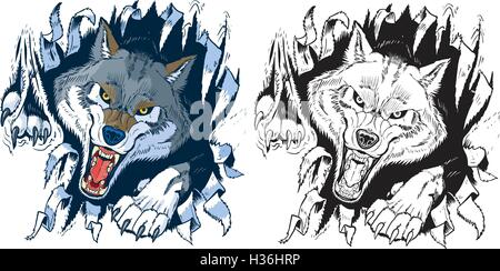 Vector cartoon clip art set di illustrazione di un arrabbiato grigio o legname mascotte lupo rip o lacerazione attraverso un background. Illustrazione Vettoriale