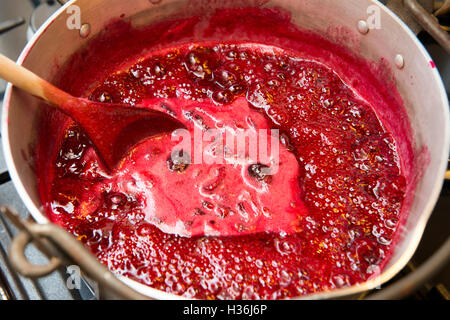 Damsons essendo realizzati in inceppamento in una padella la conservazione Foto Stock