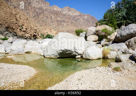 Una piccola piscina di Wadi Tiwi, Sultanato di Oman Foto Stock