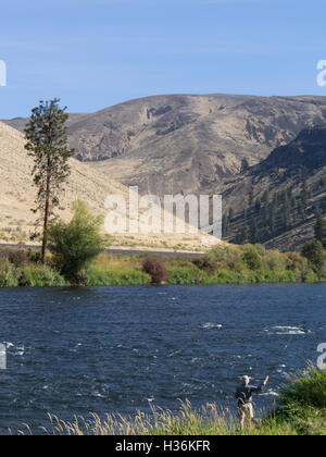 Pesca a mosca, Yakima River, Stato di Washington orientale. Foto Stock