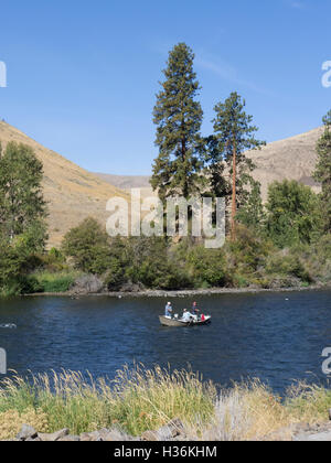 Pesca a mosca, Yakima River, Stato di Washington orientale. Foto Stock