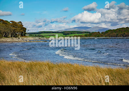 Costa della baia di Wigtown vicino a Garlieston in Wigtownshire, Dumfries and Galloway, Scozia. Hill in distanza è Cairnsmore della flotta. Foto Stock