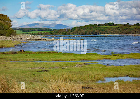 Costa della baia di Wigtown vicino a Garlieston in Wigtownshire, Dumfries and Galloway, Scozia. Hill in distanza è Cairnsmore della flotta. Foto Stock