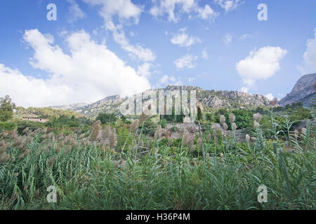 Paesaggio autunnale con lamelle di verde e le montagne in Fornalutx, Maiorca, isole Baleari, Spagna. Foto Stock