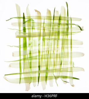 Corn buccia di vimini patern su bianco Foto Stock