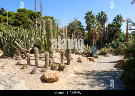 Il Giardino dei Cactus nel Parque Paloma, Paloma park, Benalmadena, Spagna. Foto Stock