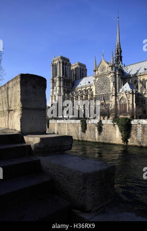 Vista della cattedrale di Notre Dame dalla riva sinistra del fiume Senna.Paris. Francia Foto Stock