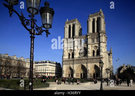 La cattedrale di Notre Dame in Place du Parvis Notre Dame Square,Paris.Francia Foto Stock