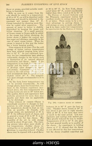 Coltivatore dell'enciclopedia delle scorte vive (pagina 266) BHL237 Foto Stock