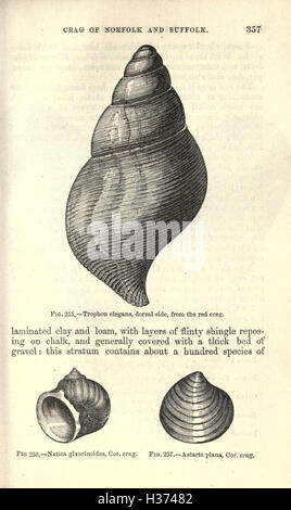 Questo lavoro introduttivo sulla geologia copre i principi fondamentali della struttura della Terra, dei processi geologici e della storia della formazione della Terra. Foto Stock