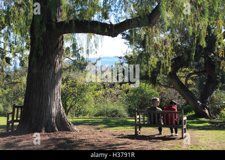 I visitatori di relax presso il Giardino Botanico di Huntington Biblioteca e Giardino Botanico.San Marino.California.USA Foto Stock