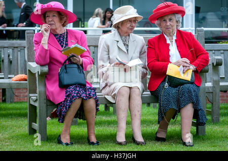 Racegoers in una Gloriosa Goodwood raceday. Foto Stock