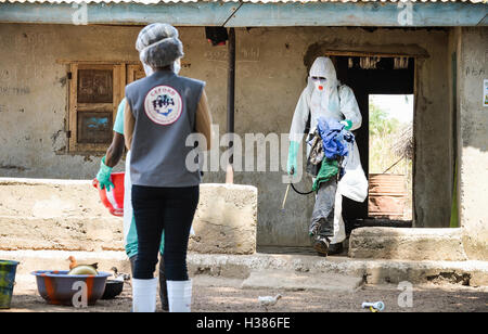 Nella foto è un membro del porto Loko District Ebola Centro di risposta personale portare fuori articoli contaminati da una proprietà sotto la supervisione del team coordinator. MOD 451 Foto Stock