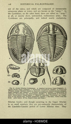 La vita antica storia della terra (pagina 108) BHL180 Foto Stock