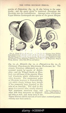 Questo lavoro esplora lo sviluppo della vita sulla Terra, esaminando eventi geologici ed evolutivi che hanno plasmato la storia biologica del pianeta. Foto Stock