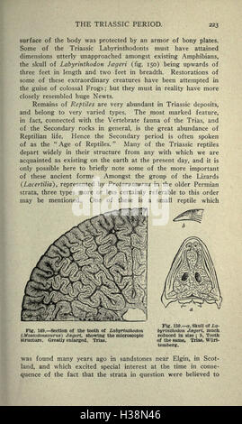 Questo lavoro esplora la storia geologica e biologica della Terra, descrivendo in dettaglio l'evoluzione della vita dai tempi antichi fino alle specie moderne, sulla base di prove fossili e dati geologici. Foto Stock