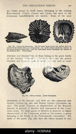 Questo lavoro esplora la storia della vita sulla Terra dalle sue origini ai tempi moderni, concentrandosi su eventi biologici chiave, pietre miliari evolutive e lo sviluppo di specie in tutte le epoche geologiche. Foto Stock