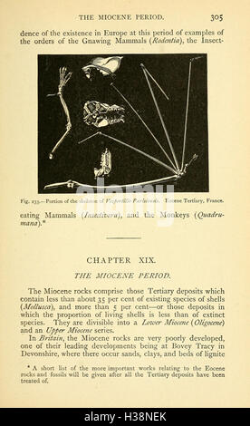 Questo lavoro esplora la storia geologica e biologica della Terra, concentrandosi sull'evoluzione della vita dalle prime forme fino ai giorni nostri. Foto Stock