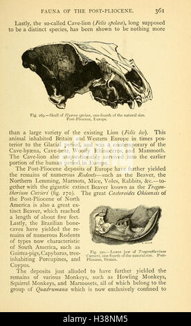 Questo lavoro esplora la storia geologica e biologica della Terra, dalle prime formazioni del pianeta all'ascesa della vita complessa. Fornisce una panoramica completa dell'evoluzione della Terra nel tempo. Foto Stock