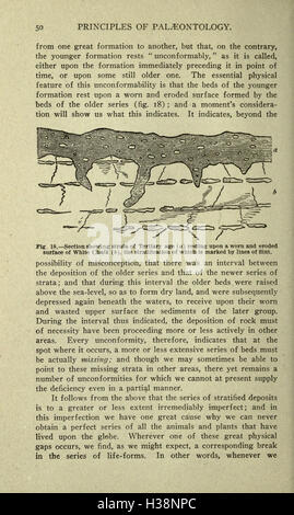 Questo lavoro esplora la storia geologica e biologica della Terra, descrivendo l'evoluzione della vita dai suoi inizi ai periodi più recenti. Esamina gli antichi organismi e i loro ambienti attraverso prove paleontologiche. Foto Stock