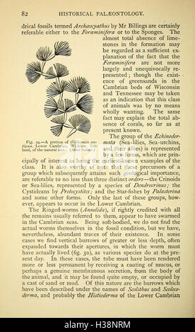 Questo lavoro esplora la prima storia della Terra, esaminando il suo sviluppo geologico e biologico dalla sua formazione all'emergere della vita. Foto Stock