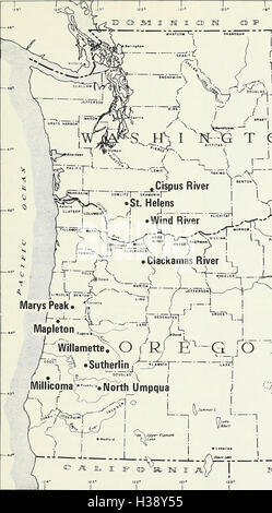 Il deterioramento di Beetle-ucciso Douglas-fir in western Oregon e Washington (1967) (2054744 Foto Stock