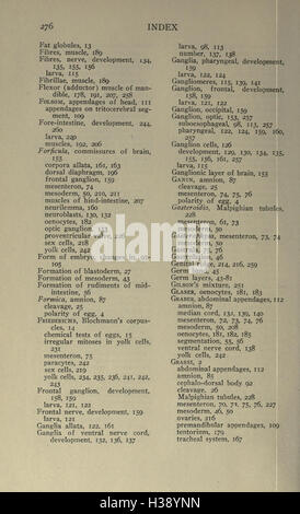 Questo lavoro si concentra sullo sviluppo embrionale delle api mellifere, coprendo le fasi dalla fecondazione allo sviluppo delle larve. A pagina 276 vengono fornite informazioni sulle prime fasi dello sviluppo delle api. Foto Stock