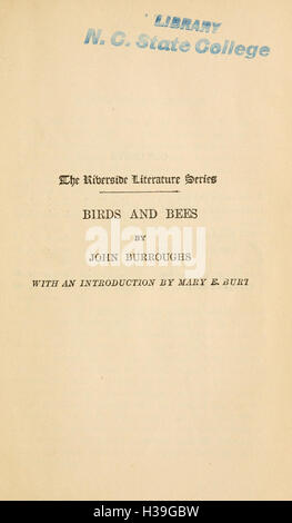 Questo titolo si riferisce all'interazione tra uccelli e api, spesso utilizzata in riferimento all'impollinazione e agli ecosistemi, dove entrambe le specie svolgono un ruolo vitale nella riproduzione vegetale e nel mantenimento dell'equilibrio ecologico. Foto Stock