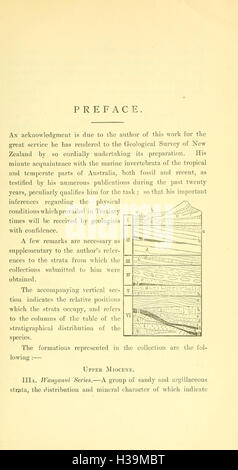 Questo lavoro esplora i coralli e i briozoi dell'era neozoica in nuova Zelanda, descrivendo i loro resti fossili e il significato ecologico durante questo periodo geologico. Foto Stock