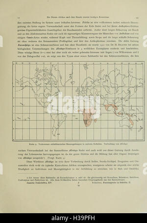 Questo lavoro fornisce una panoramica delle specie di api africane, dei loro comportamenti e dell'importanza ecologica delle api in Africa. Foto Stock