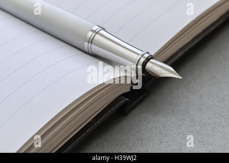 Primo piano del pennino di una vecchia penna stilografica su un blocco note Foto Stock