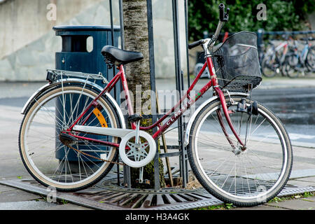 Bicicletta appoggiata contro un albero a Sandnes Norvegia con un carrello sul manubrio Foto Stock