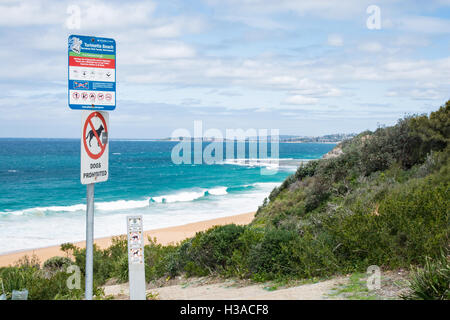 Turimetta Beach. A Sydney la periferia settentrionale della penisola. Australia. Foto Stock