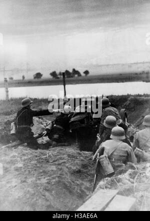 German anti-pistola serbatoio posizione all'inizio della campagna russa, 1941 Foto Stock