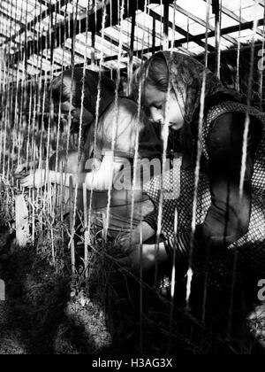 Jungmaedel durante Landdienst (paese di servizio), 1940 Foto Stock