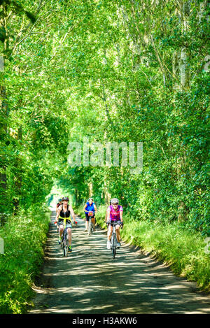 Un gruppo di ciclisti femmina sul viale alberato vicino a wigan greater manchester in West Lancashire England Regno Unito Foto Stock