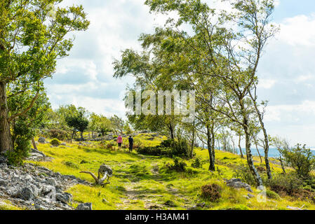 Walkers sul Whitbarrow cicatrice nel sud del distretto del Lago Foto Stock