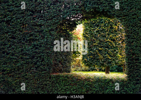 Guardando attraverso un foro nel yew hedge in un giardino a Waterperry giardini, Wheatley, Oxfordshire. Inghilterra Foto Stock