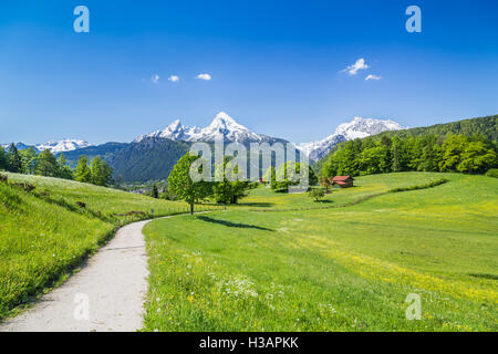 Idillico paesaggio delle Alpi con fresco verde pascoli di montagna e innevate vette di montagna in background in estate Foto Stock