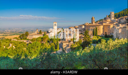 Vista panoramica del centro storico di Assisi a beautiful Golden. La luce del mattino al sorgere del sole in estate, Umbria, Italia Foto Stock