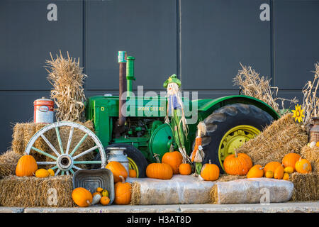 La Canadian Tire store display caduta in Winkler, Manitoba, Canada. Foto Stock