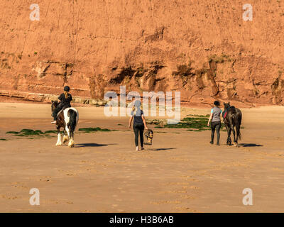 I locali con i loro pony a piedi lungo il bellissimo rustico Jurassic Coast tra la città balneare di Exmouth e Sandy Bay, Devon Foto Stock