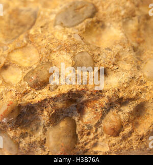 Macro shot di conglomerato pietra isolate su sfondo bianco Foto Stock