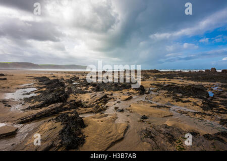 Widemouth sabbia sulla North Cornwall costa a Widemouth Bay. In Inghilterra. Foto Stock