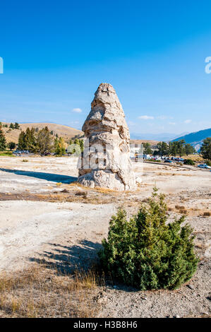 Liberty Cap (primavera calda cono) Mammoth Hot Springs Yellowstone National Park, Wyoming negli Stati Uniti. Foto Stock