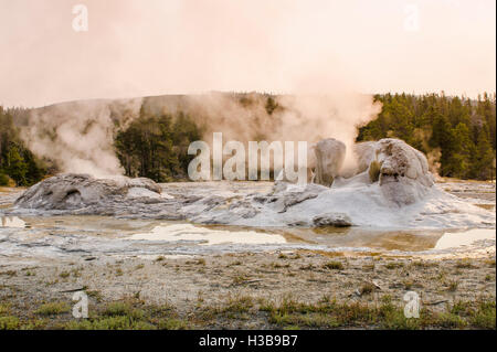 Grotto Geyser in Upper Geyser Basin Parco Nazionale di Yellowstone, Wyoming negli Stati Uniti. Foto Stock