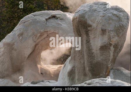 Grotto Geyser in Upper Geyser Basin Parco Nazionale di Yellowstone, Wyoming negli Stati Uniti. Foto Stock