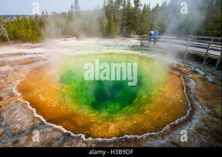 Gloria di mattina in piscina a Upper Geyser Basin Parco Nazionale di Yellowstone, Wyoming negli Stati Uniti. (MR) Foto Stock