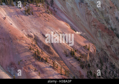 Geyser nel Grand Canyon di Yellowstone, il Parco Nazionale di Yellowstone, Wyoming negli Stati Uniti. Foto Stock