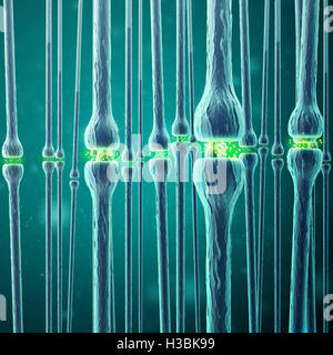 Trasmissione sinaptica, sistema nervoso umano. Il rendering 3D Foto Stock